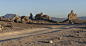 Trona Pinnacles (135)