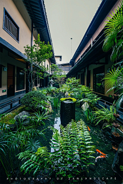 鬼画桃采集到庭院