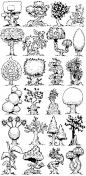 (69) Pinterest