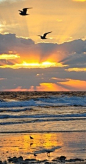 Sunrise in Florida • photo: Paul Bates  在佛罗里达州• 日出