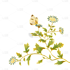 夏Echo22采集到插画 植物