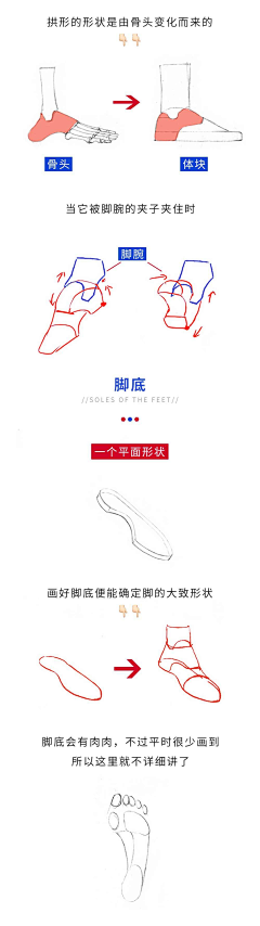 MC_Q9采集到人体_手足