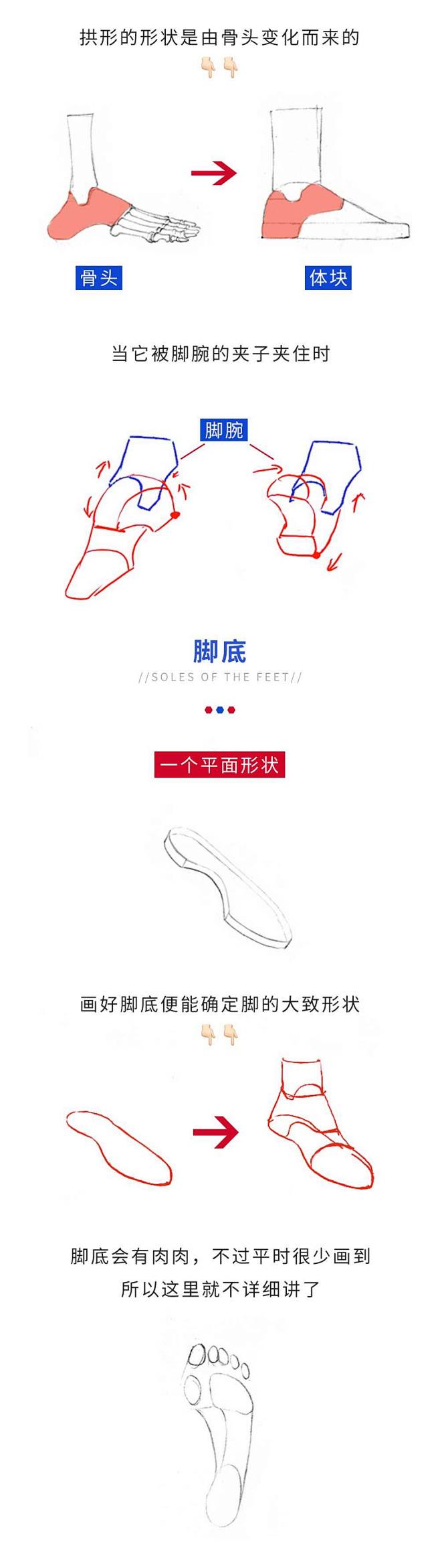 脚部的绘制_画画的春哥- (5)