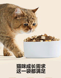 aBqlKTTO采集到详情