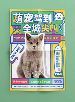 行走的木头nt采集到海报-版式