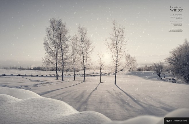 冬天雪景飘雪美景树木雪影冬季雪景海报