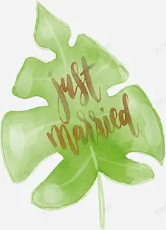 绿色芭蕉叶子 平面电商 创意素材