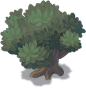 Zone13_Plant_25