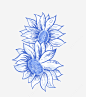 手绘蓝色花朵向日葵花高清素材 包装设计 向日葵花 小清新包装 花朵 花朵装饰 花瓣 花瓣装饰 花草设计 蓝色花朵 贺卡设计 元素 免抠png 设计图片 免费下载 页面网页 平面电商 创意素材