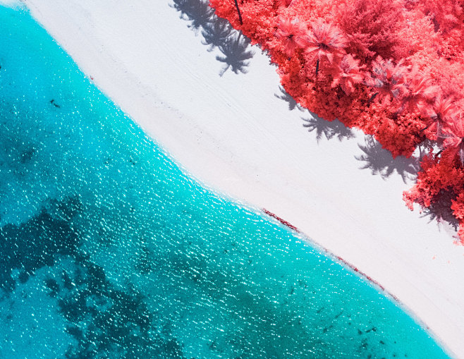 公号：nova-design