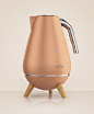 Ziyanda Kettle : INTRODUCTIONI was invited to create from scratch the complete industrial design project of the electric kettle for Ziyanda, a South African brand with focus on luxury market. The well-crafted briefing brought me lots of relevant informati