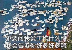 职场彩虹屁完全指南