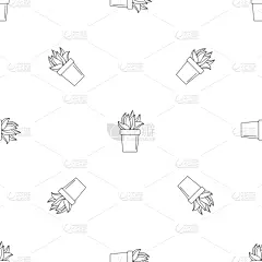 花盆,仙人掌,式样,草坪,几何形状,常春藤,壁纸,芦荟,植物群,天竺葵