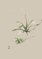 水彩 植物花卉 插画 artistic青尘/绘