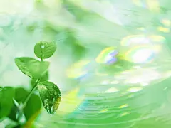 生机勃勃绿叶合成篇壁纸桌面壁纸3