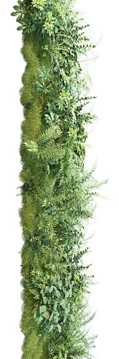 1086采集到Z--植物花草