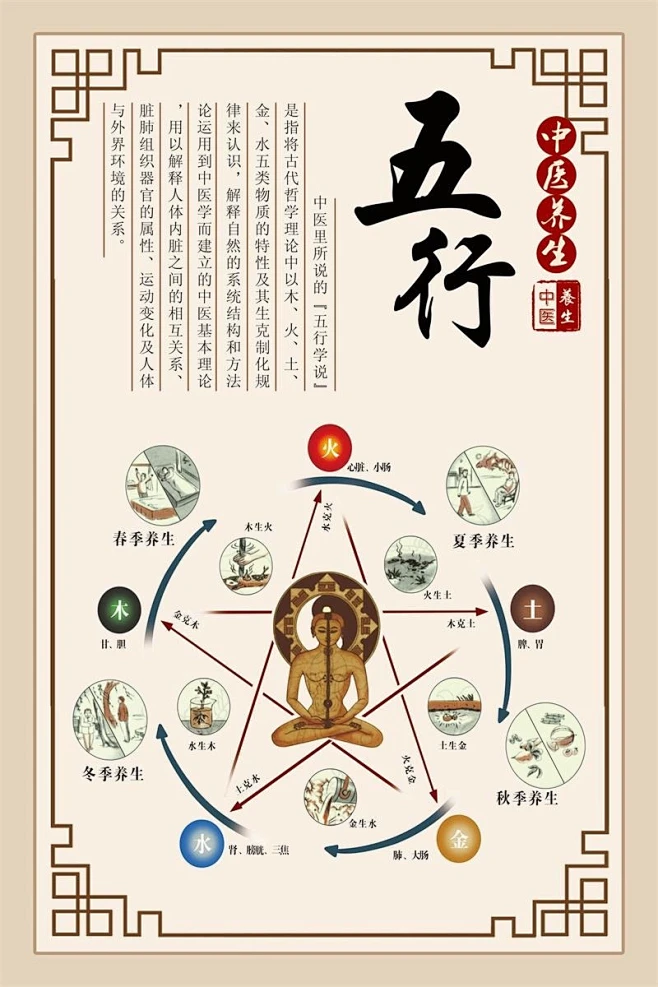 五行图经络五行图海报中医阴阳五行图解海报人体必须的七大营养素-淘宝网-花瓣网