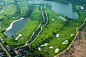 宁平省,越南,高尔夫球运动,航拍视角,在上面,高尔夫球场,美,水平画幅,枝繁叶茂