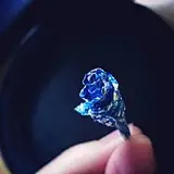 Janie_Ip