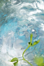 自然,垂直画幅,水,天空,植物,无人,2015年,抽象,摄影