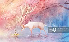 鹿,早晨,自然,水平画幅,壁纸正版图片素材