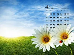 高清2013年4月日历桌面壁纸192,高清2013年4月日历桌面壁纸192下载,高清2013年4月日历桌面壁纸192大全,E网素材库(www.web07.cn)