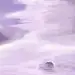 采集图片