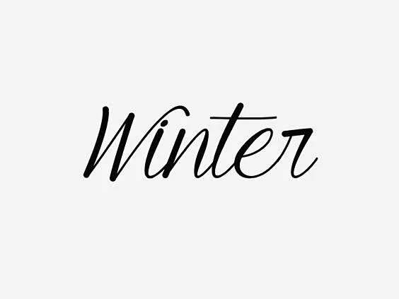 冬季英文艺术字图宝宝 https://bao16.com 冬天 冬季 季节 英文字体设计 英文字装饰 WINTER-花瓣网