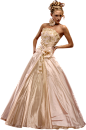 bride_PNG19541.png (433×657)