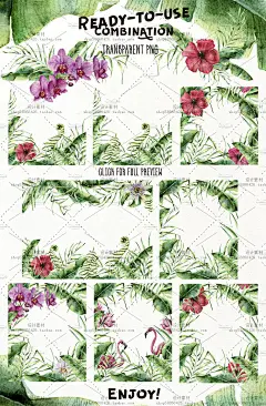 夏日热情水彩手绘热带植物芭蕉叶蕨类植物PNG免抠贴图设计素材-淘宝网