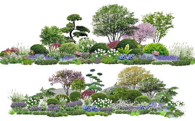 花境植物组团组合搭配SU模型园林景观树木乔_1_景观设计_来自小红书网页版