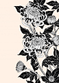 chrysanthemum-flower-by-hand-drawing_28952-58.jpg 626×886像素