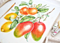 Watercolor Florals and Fruits for Monarte : Watercolor illustrations of camellia flowers and tropical fruits for cloth prints and patterns by Kateryna Savchenko. 