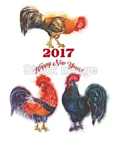 水彩的公鸡。手绘插图#新年# #春节# #过年# #鸡年# #2017年# #新年素材# #春节素材# #海报# #设计素材# #生肖# #平面设计# #新年海报# #鸡年海报# #2017数字背景# #圣诞节装饰# #公鸡# #卡通插画# #雄鸡# #新年贺卡# #鸡年日历# #2017年日历# #白背景# #rooster# #金鸡报春# #红包设计# #圣诞节素材# #新年banner# #新年计划# #新年目标# #福字#