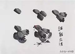 图文教程——写意画鸡技法