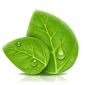 png素材 透明素材 png图片 绿色 水果 鲜花 植物 干净 栀子 花 树叶 绿叶 叶子 芦荟 健康 摄影 高清 素材 草丛 香菇 茶叶 菜 大自然图片 小素材 花木 植物 水果 厨房 蔬菜 肉类 素材 PNG免抠 花藤 树叶 叶子 花丛 北坤人素材 <a class="text-meta meta-mention" href="/mmmmmmmmmmmmmmmmmmmmm/">@飞天胖虎</a>