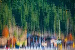 Snowy Forest Abstract no.1