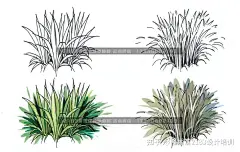 【大苏有“画”说】湿地水生植物景观手绘表达 : — 前言 —手绘表达是设计类同学生必备的技能，本期专栏针对景观常见湿地植物——湿地水生植物，进行深入表达的解析，包含常见的耐水湿植物、漂浮植物、挺水植物进行深入表达等方面。 关键词：水生植物、挺水植物…