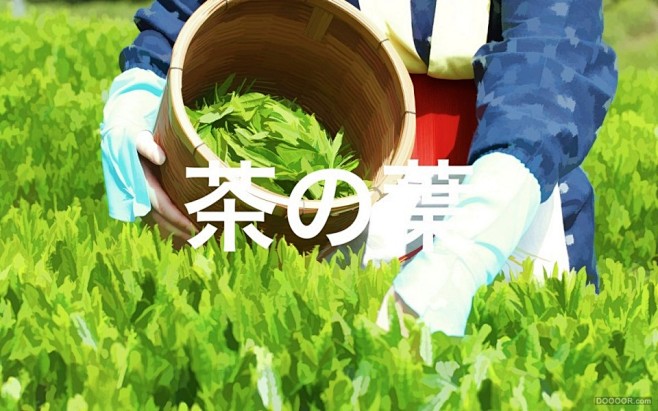 フォーハーツ日本草药茶叶形象包装设计-R...