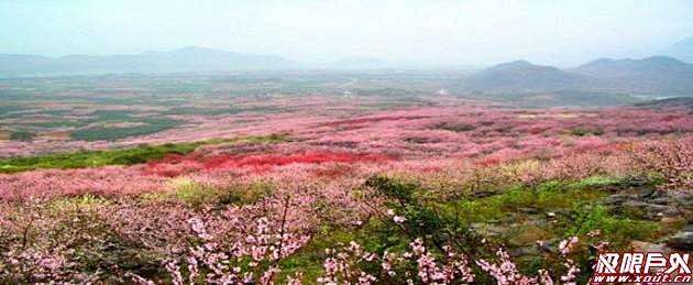 阳朔桃花节