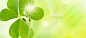 夏季绿色背景高清素材 夏季 绿色 背景 背景 设计图片 免费下载