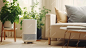 photograph of Air purifier in cozy white living room