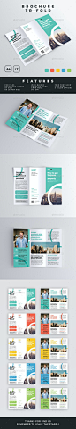 Trifold Brochure - Brochures Print Templates