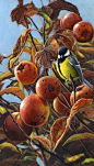 Jeremy Paul   ACRYLIC