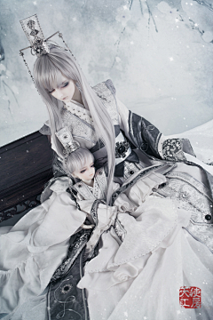 ElenaIRIS采集到DOLLs