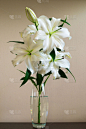 百合花,花瓶,垂直画幅,复活节,桌子,无人,家庭生活,纯净,褪色,摄影