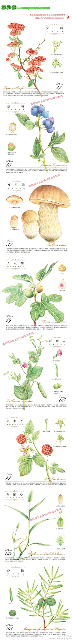 Kero星采集到S手绘教程