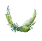 水彩 花圈 热带雨林 动物 植物 鸟类 烈火鸟 冰淇淋 PNG免抠图 wreath 4