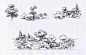 今天给学生们做的手绘课稿 园林景观植物线稿 单体与组合体线稿表现 注重比例，控制外形和暗面层次对比。手绘官网  http://www.hzt2014.com 