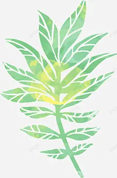 热带植物棕榈叶 热带植物 环境 绘画 自然 元素 免抠png 设计图片 免费下载 页面网页 平面电商 创意素材